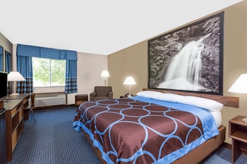Room, 1 King Bed, Accessible, Non Smoking