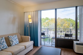 Room, 1 King Bed with Sofa bed, Hearing Accessible, Balcony (Accessible Bathtub)