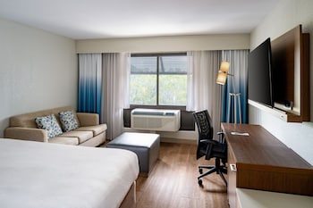 Room, 1 King Bed with Sofa bed, Hearing Accessible (Roll-in Shower)