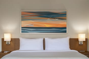 Room, 1 King Bed with Sofa bed, Hearing Accessible, Balcony (Accessible Bathtub)