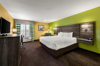 Room, 1 King Bed, Accessible, Non Smoking