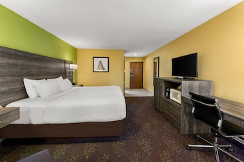 Room, 1 King Bed, Accessible, Non Smoking