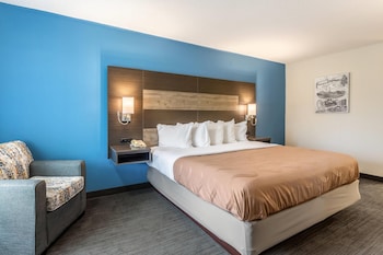 Room, 1 King Bed, Accessible, Non Smoking