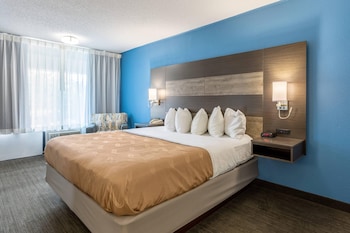 Room, 1 King Bed, Accessible, Non Smoking