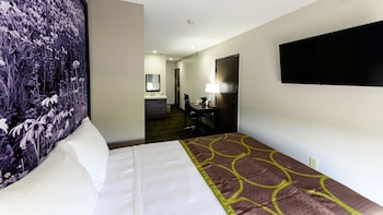 Room, 1 Queen Bed, Non Smoking (Small)