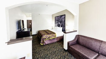 Room, 1 King Bed, Mobility Accessible with Sleeper Sofa, Non Smoking