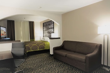 Standard Room, 1 King Bed with Sleeper Sofa, Non Smoking
