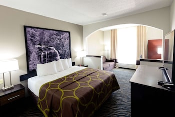 Room, 1 King Bed, Mobility Accessible with Sleeper Sofa, Non Smoking