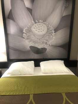 Room, 1 Queen Bed, Non Smoking (Small)