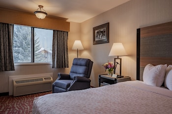 Standard Single Room, 1 King Bed