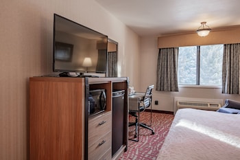 Standard Single Room, 1 King Bed