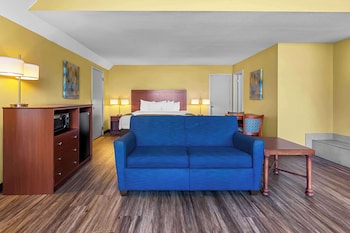 Standard Room, 1 King Bed with Sofa bed, Non Smoking, Refrigerator & Microwave (with Sofabed)