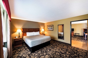 Suite, 1 King Bed, Non Smoking, Refrigerator & Microwave (with Sofabed)