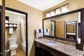 Suite, 1 King Bed, Non Smoking, Refrigerator & Microwave (with Sofabed)