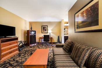 Suite, 1 King Bed, Non Smoking, Refrigerator & Microwave (with Sofabed)