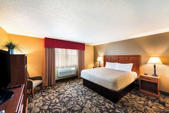 Suite, 1 King Bed, Non Smoking, Refrigerator & Microwave (with Sofabed)