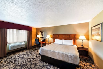 Suite, 1 King Bed, Non Smoking, Refrigerator & Microwave (with Sofabed)