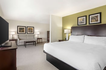 Suite, 1 King Bed, Non Smoking, Refrigerator & Microwave
