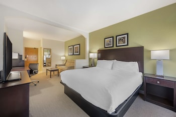 Executive Room, 1 King Bed, Non Smoking