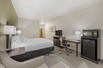 Standard Room, 1 King Bed, Non Smoking, Microwave