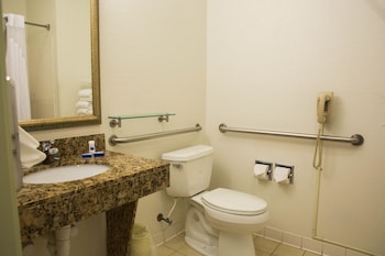 Standard Room, 1 King Bed, Accessible, Non Smoking