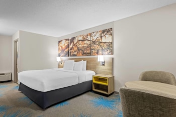 Standard Room, 1 King Bed