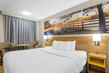 Standard Room, 1 King Bed, Accessible