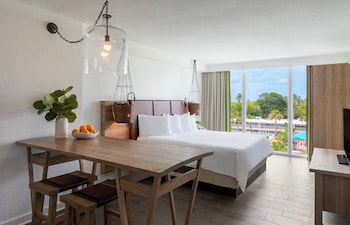 Studio Suite, 1 King Bed Standard View