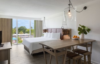 Studio Suite, 1 King Bed Standard View