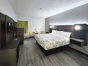 Deluxe Room, 1 King Bed, Non Smoking, Refrigerator & Microwave