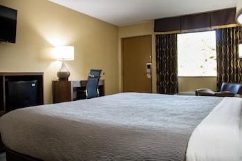 Standard Room, 1 King Bed, Non Smoking