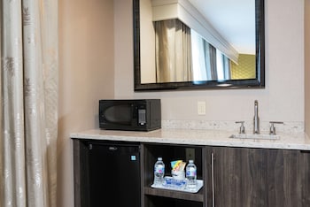 Studio, 1 King Bed, Refrigerator
