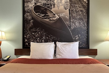 Room, 1 King Bed, Accessible