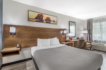 Room, 1 Queen Bed, Accessible, Non Smoking