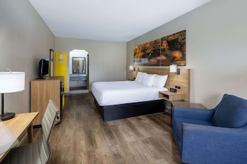 Standard Room, 1 King Bed