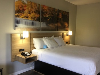 Standard Room, 1 King Bed