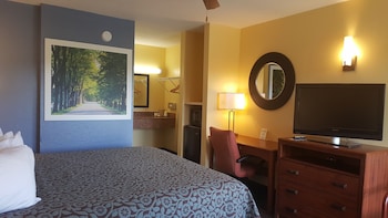 Room, 1 King Bed, Accessible, Non Smoking