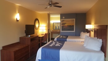 Suite, 1 Queen Bed, Non Smoking