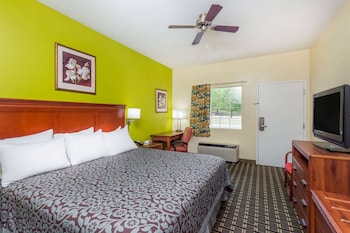 Room, 1 King Bed, Non Smoking