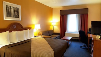 Room, 1 King Bed, Non Smoking, Refrigerator & Microwave