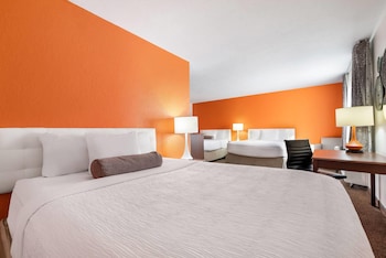 Studio Suite, Multiple Beds, Non Smoking
