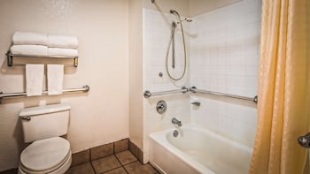 Standard Room, 1 King Bed, Accessible, Refrigerator & Microwave (with Sofabed)