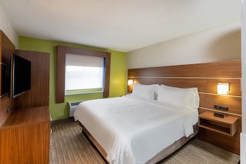Suite, 1 King Bed with Sofa bed