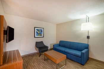 Suite, 1 King Bed with Sofa bed