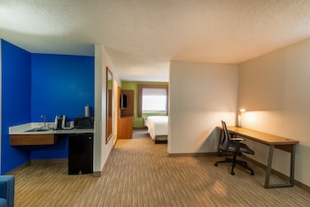 Suite, 1 King Bed with Sofa bed