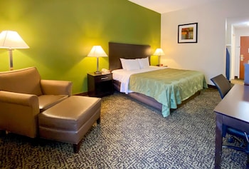 Standard Room, 1 King Bed, Non Smoking