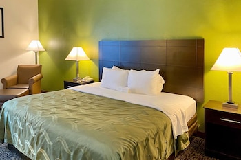Standard Room, 1 King Bed, Non Smoking
