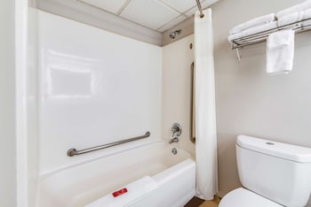 Standard Room, 1 King Bed, Accessible, Refrigerator & Microwave