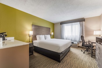 Standard Room, 1 King Bed, Accessible, Refrigerator & Microwave