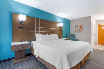 Standard Room, 1 King Bed, Non Smoking, Refrigerator & Microwave